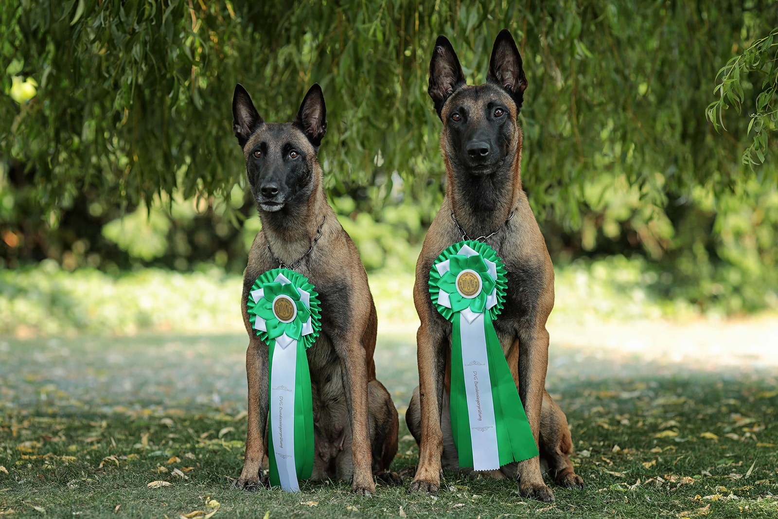 Marnie und Argos-min