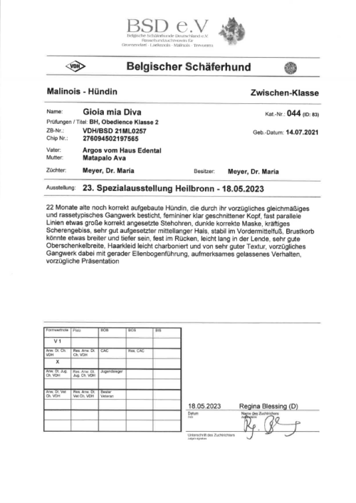 Diva Zuchtschau